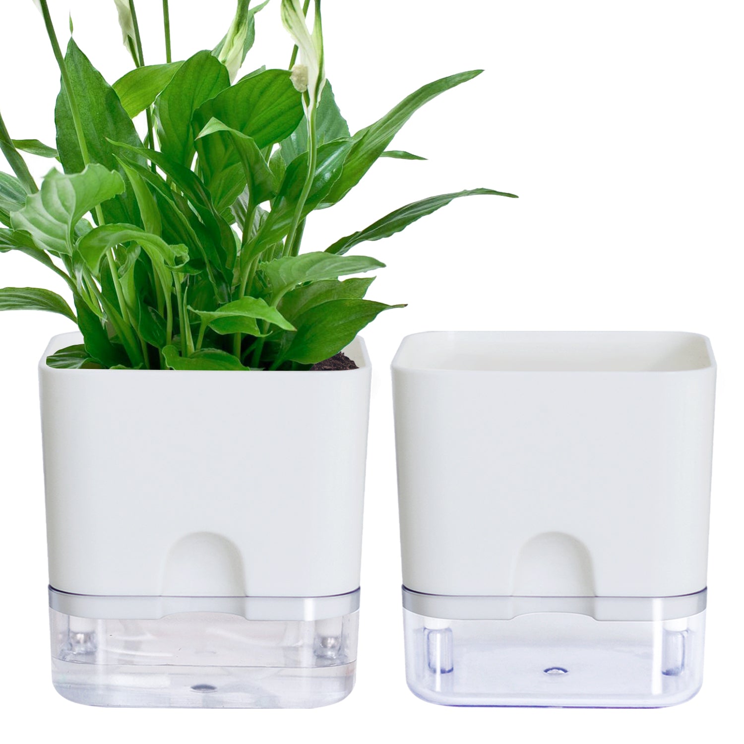 OLiz Plant Pots Indoor 2 Packs Self Watering Pots for Indoor Plants, African Violet Pots Planter with Visible Reservoir Self Watering Planter for Herb, House Plant Planting--G205 4.25 inches/ G207  5.5 inches