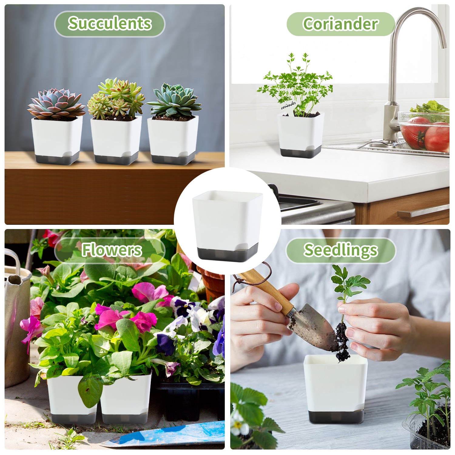 OLiz 3 inch Small Nursery Pots, Seedling Pots, 20 Pack Plastic Plant Pots for Indoor Outdoor Plants, Decorative White Succulent Flower Pots with Drainage Holes and Saucers--Mini Pots 20 Pack T103