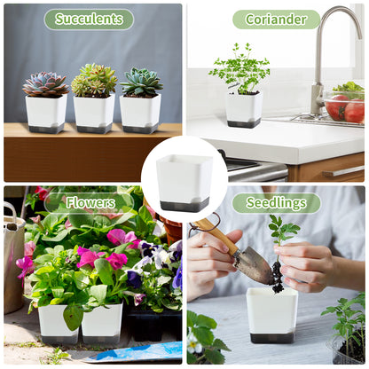 OLiz 3 inch Small Nursery Pots, Seedling Pots, 20 Pack Plastic Plant Pots for Indoor Outdoor Plants, Decorative White Succulent Flower Pots with Drainage Holes and Saucers--Mini Pots 20 Pack T103