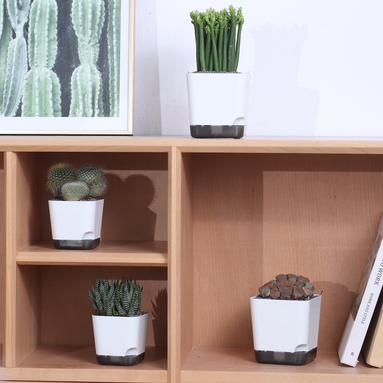 OLiz Succulent Pots, 3.1 inch Plastic Mini White Flower Planters with Drainage Hole for Indoor Office Home Plant Cactus Violet, Pack of 6(Plants Not Included)--Mini Pots 6 Pack T103