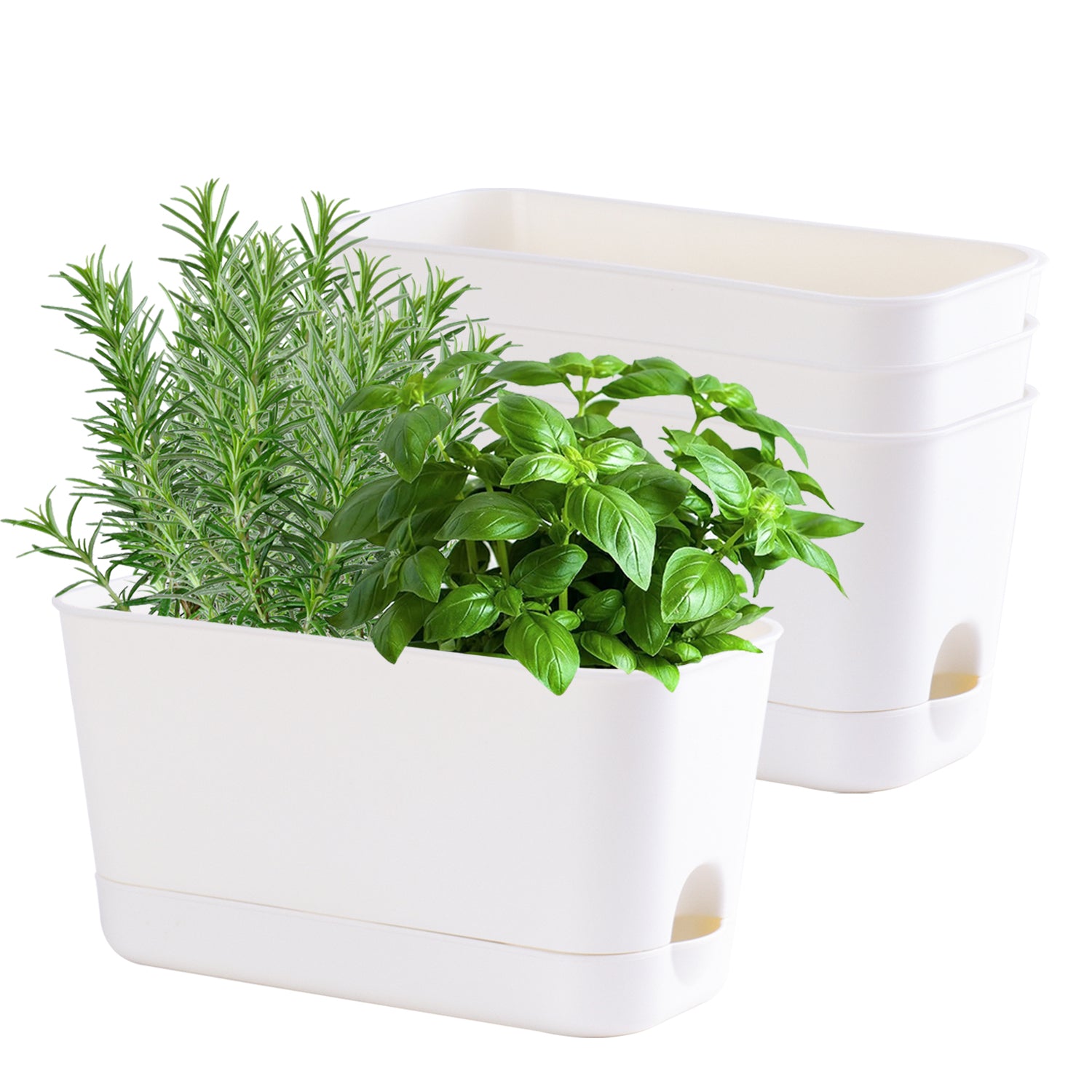 Oliz Herb Garden Planter Indoor Kit Self Watering Pots for Indoor/Outdoor Plant, Windowsill Plant Pots with Drainage and Tray, Window Pot for Indoor Plants,2 Packs/ 4 Packs  T106/ T107