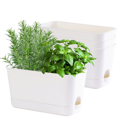 Oliz Herb Garden Planter Indoor Kit Self Watering Pots for Indoor/Outdoor Plant, Windowsill Plant Pots with Drainage and Tray, Window Pot for Indoor Plants,2 Packs/ 4 Packs  T106/ T107