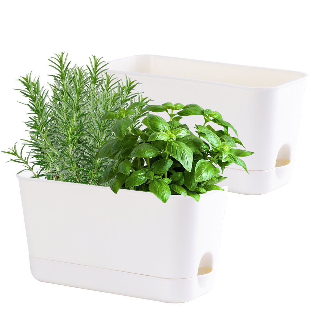 Oliz Herb Garden Planter Indoor Kit Self Watering Pots for Indoor/Outdoor Plant, Windowsill Plant Pots with Drainage and Tray, Window Pot for Indoor Plants,2 Packs/ 4 Packs  T106/ T107