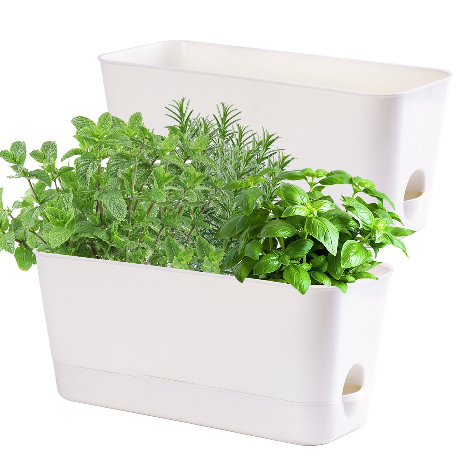Oliz Herb Garden Planter Indoor Kit Self Watering Pots for Indoor/Outdoor Plant, Windowsill Plant Pots with Drainage and Tray, Window Pot for Indoor Plants,2 Packs/ 4 Packs  T106/ T107